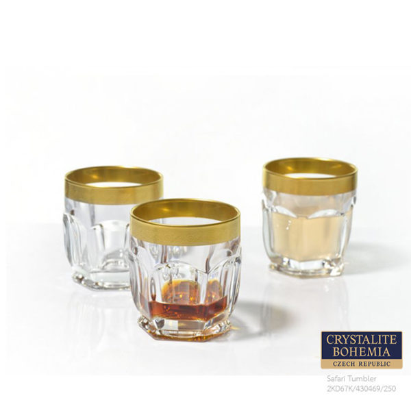 Whisky Tumbler 250 ml