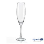 Sophia Champagne flute